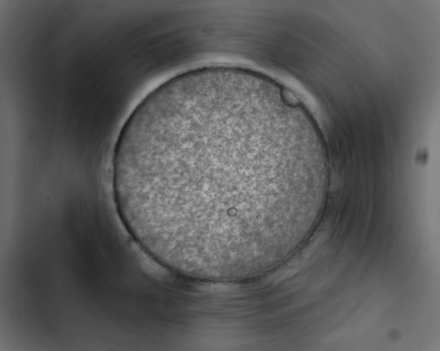 X0000103321287200809261127