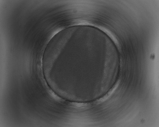 X0000103321289200809261127