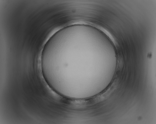 X0000103321290200809261127