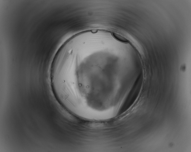 X0000103321291200809261127