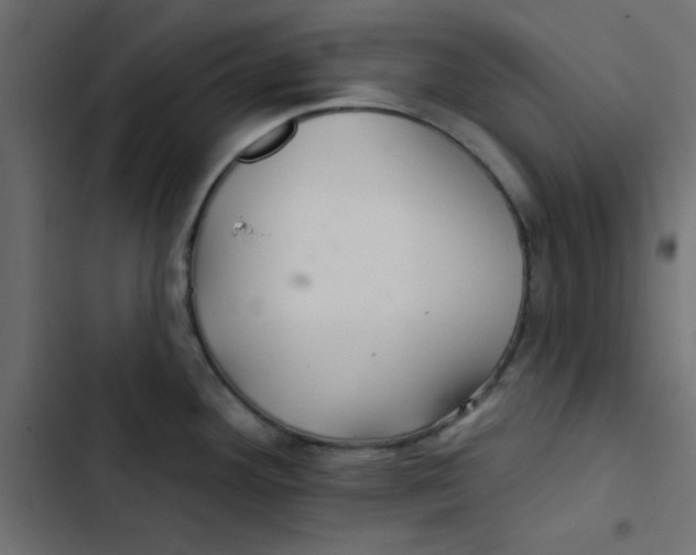 X0000103321292200809261127