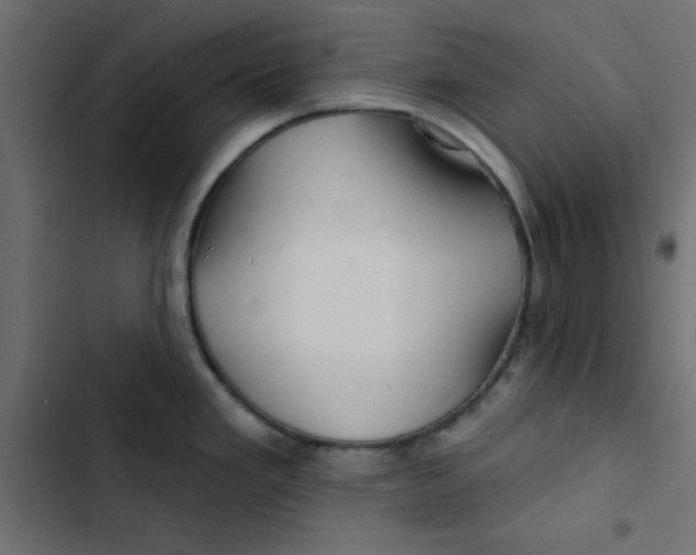 X0000103321293200809261127