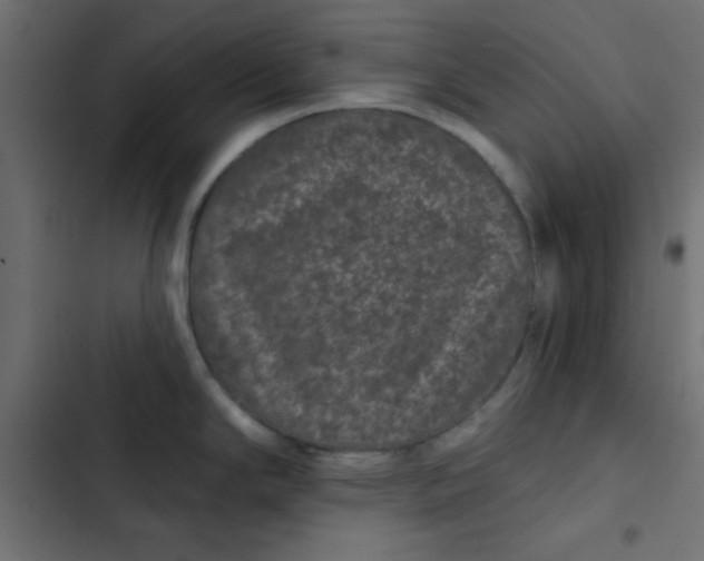 X0000103321294200809261127