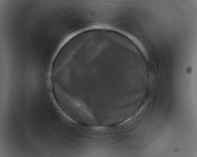 X0000103321295200809261127