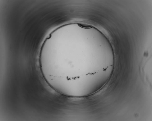 X0000103321296200809261127