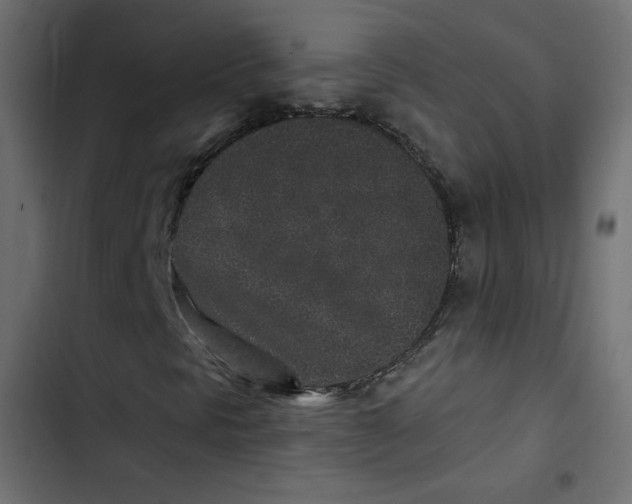 X0000103321297200809261126