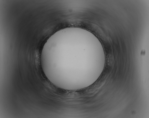 X0000103321298200809261126