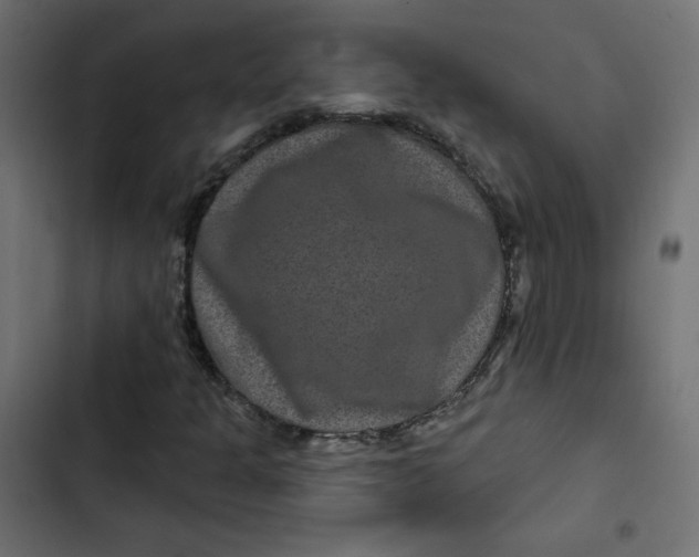 X0000103321301200809261126