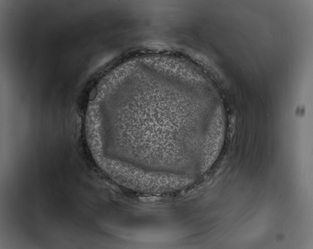 X0000103321302200809261126