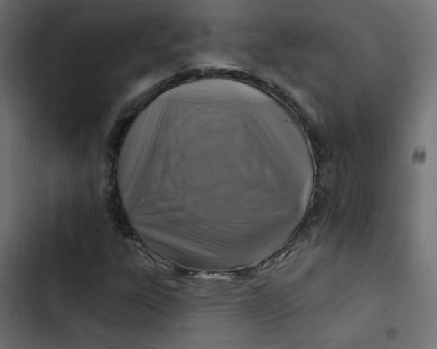 X0000103321303200809261126