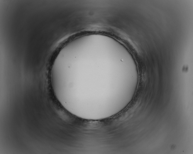 X0000103321304200809261126