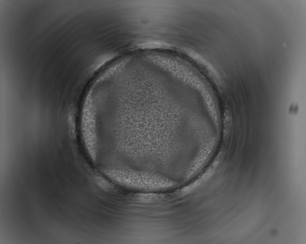 X0000103321305200809261126