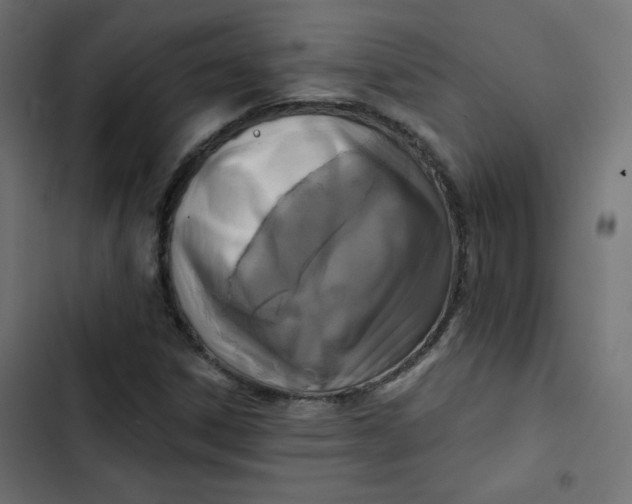 X0000103321306200809261126