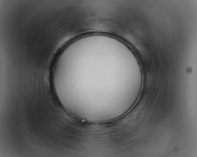 X0000103321307200809261126