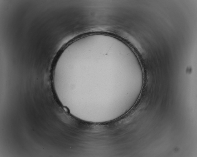 X0000103321308200809261126