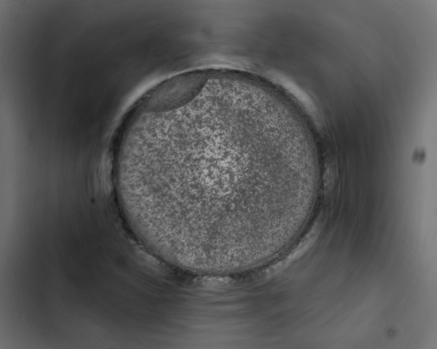 X0000103321310200809261127