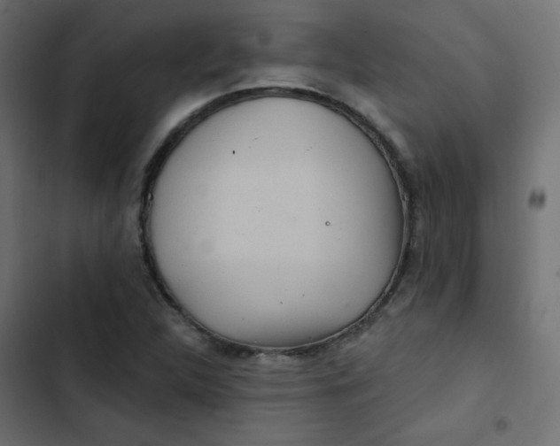 X0000103321312200809261127