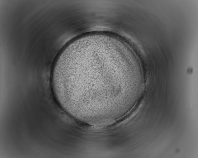 X0000103321313200809261127