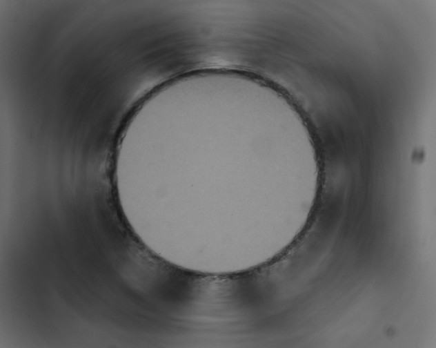 X0000103321314200809261127