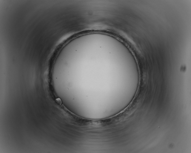 X0000103321315200809261127