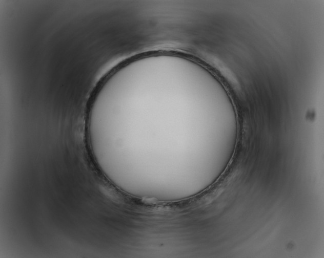 X0000103321316200809261127