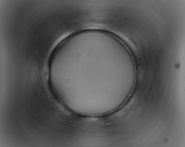 X0000103321317200809261127