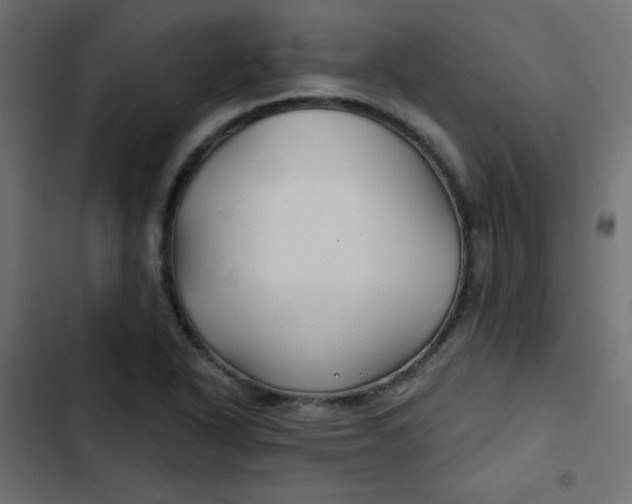 X0000103321318200809261127