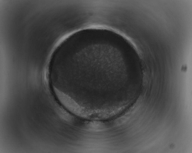 X0000103321319200809261127