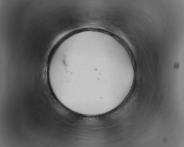 X0000103321320200809261127