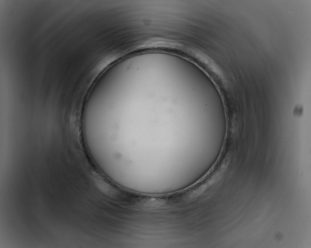 X0000103321321200809261127