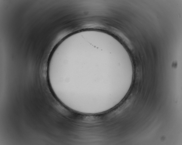 X0000103321322200809261127