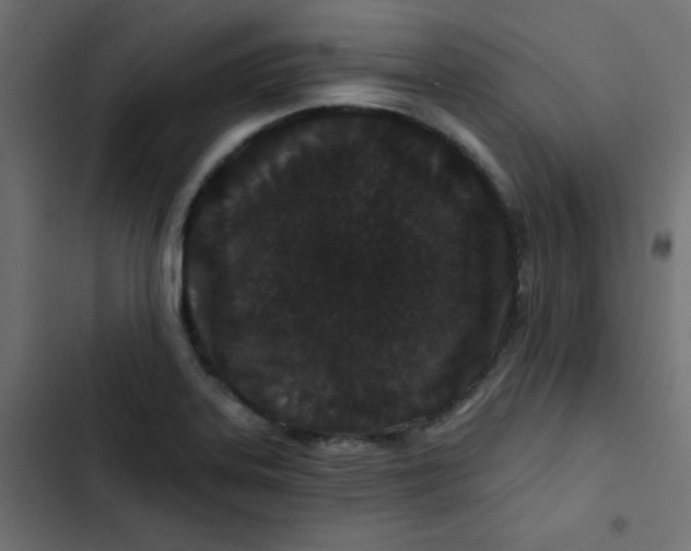 X0000103321323200809261127