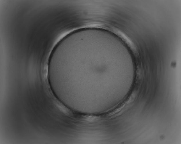 X0000103321324200809261127