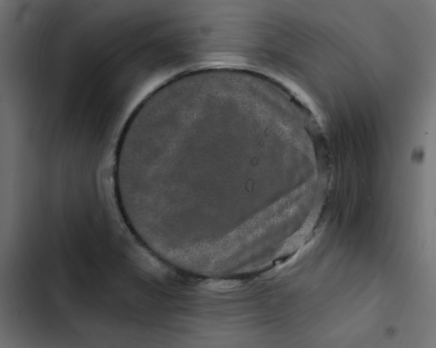 X0000103321325200809261127