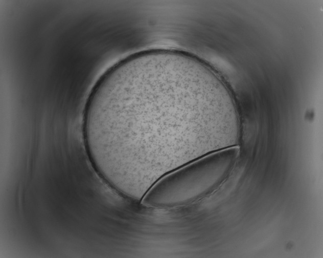 X0000103321326200809261127