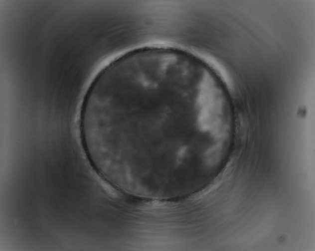 X0000103321327200809261127