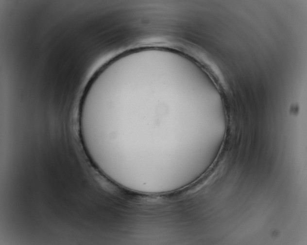 X0000103321328200809261127