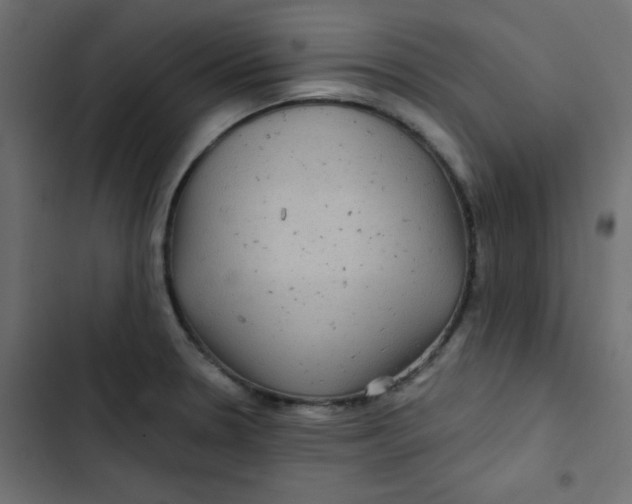 X0000103321330200809261127