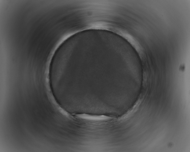 X0000103321331200809261127