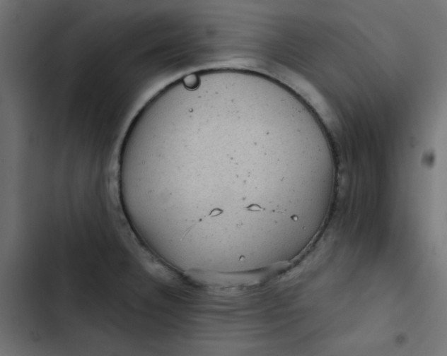 X0000103321332200809261127