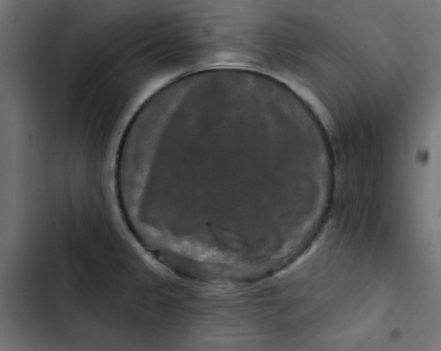 X0000103321333200809261127