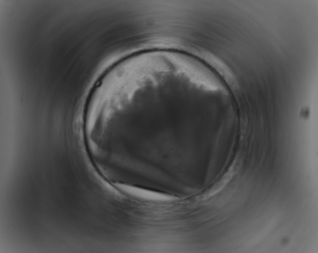 X0000103321334200809261127