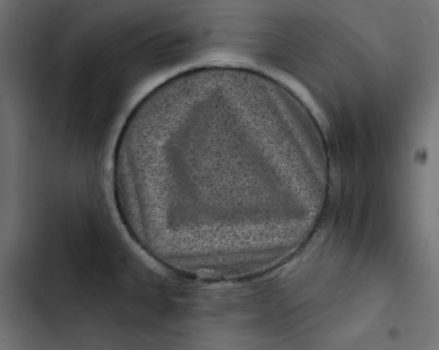 X0000103321335200809261127