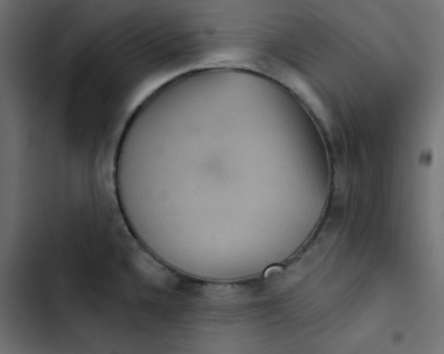 X0000103321336200809261127