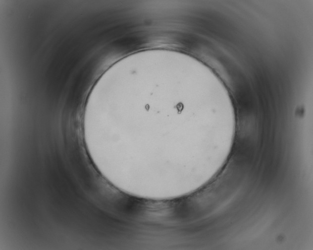 X0000103321338200809261127