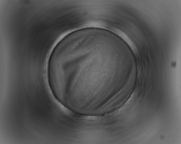 X0000103321339200809261127