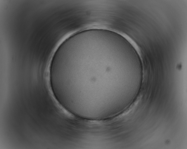 X0000103321341200809261127