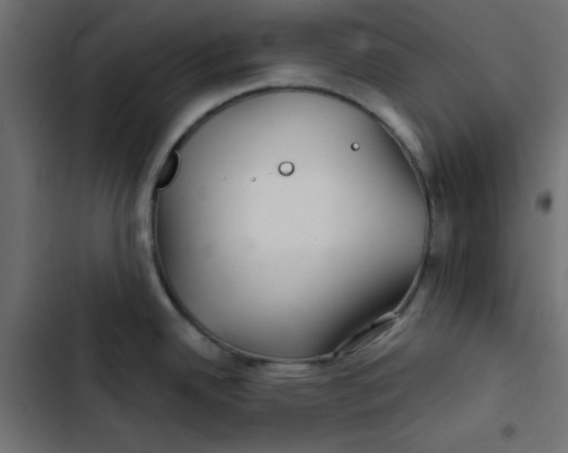 X0000103321342200809261127