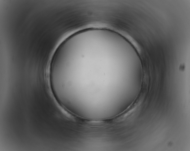 X0000103321343200809261127