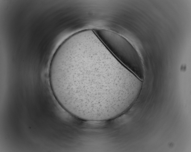 X0000103321344200809261127